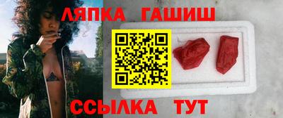 гашик Заводоуковск